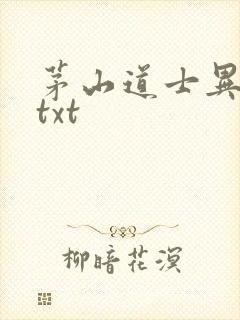 茅山道士异界游txt