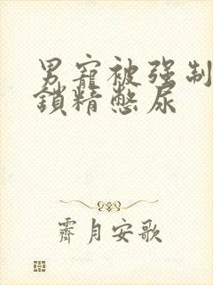 男宠被强制灌水锁精憋尿