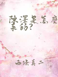 陈泽是怎么火起来的?