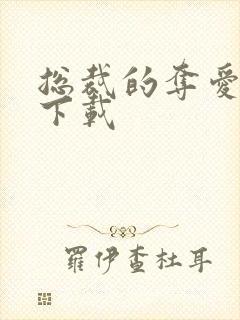 总裁的夺爱游戏下载