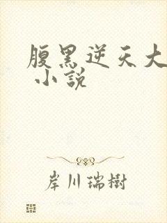 腹黑逆天大小姐 小说