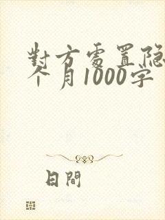 对方处置隐私一个月1000字