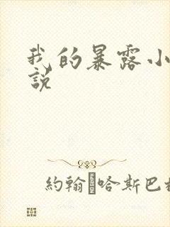 我的暴露小说小说