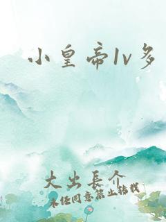 小皇帝1v多