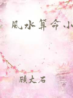 风水算命小说