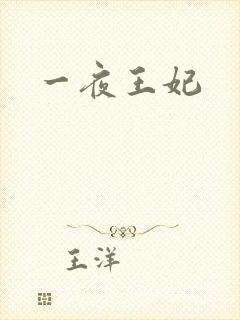 一夜王妃