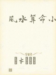 风水算命小说