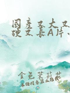 国产又大又粗又硬又长A片小说