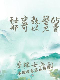 秘密教学65在哪可以免费阅读