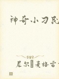 神奇小刁民