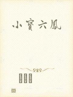 小宝六凤