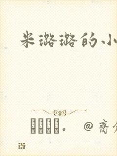米璐璐的小说