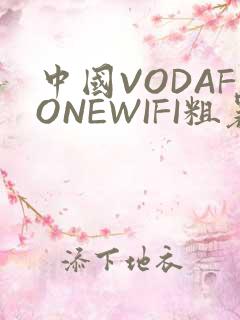中国VODAFONEWIFI粗暴APP