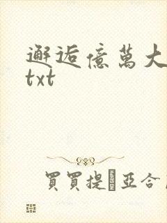 邂逅亿万大人物txt