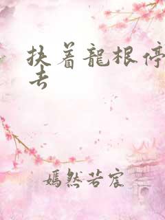 扶着龙根停了进去