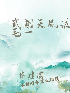 武则天风流艳情毛一