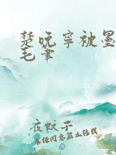 楚晚宁被墨燃塞毛笔