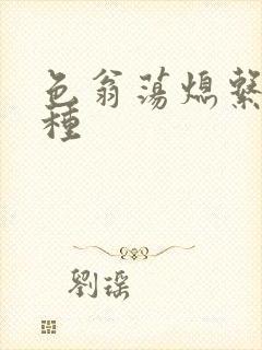 色翁荡熄系列借种