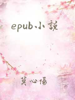 epub小说