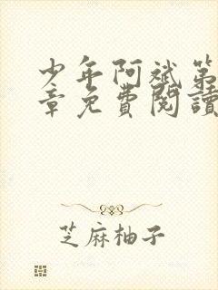 少年阿斌第13章免费阅读