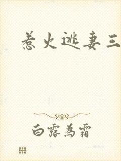 惹火逃妻三带一