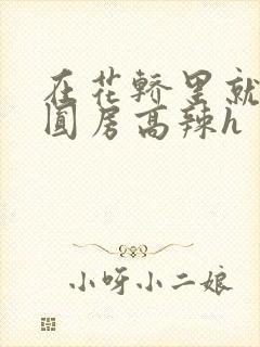 在花轿里就开始圆房高辣h