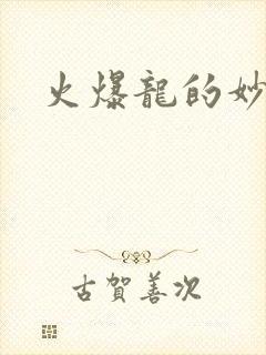 火爆龙的妙管家