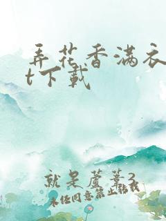弄花香满衣txt下载