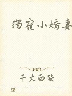 独宠小娇妻