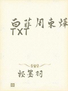 白菲周东烨小说TXT