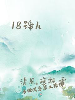 18号h