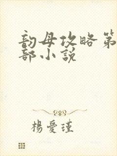 韵母攻略第12部小说