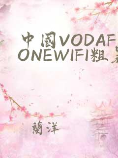 中国VODAFONEWIFI粗暴APP