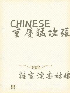 CHINESE重庆猛攻张先生