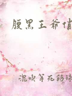 腹黑王爷俏医妃