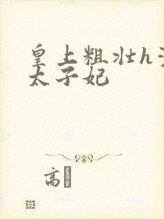 皇上粗壮h灌满太子妃