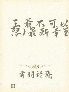 王爷不可以!(限)最新章节