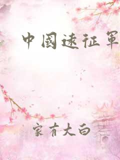 中国远征军下载