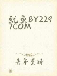 鱿鱼BY2297COM
