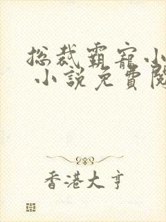 总裁霸宠小娇妻 小说免费阅读