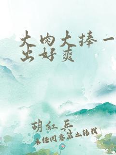 大肉大捧一进一出好爽