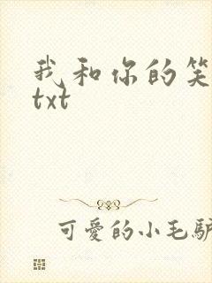 我和你的笑忘书txt