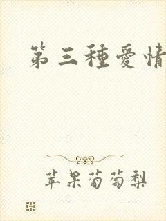 第三种爱情续集