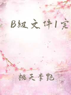 B级文件1完整