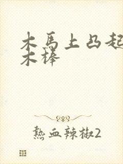 木马上凸起电动木棒