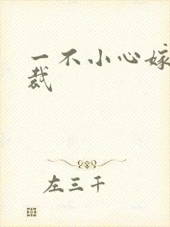 一不小心嫁给总裁