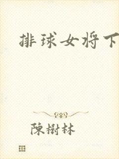 排球女将下载