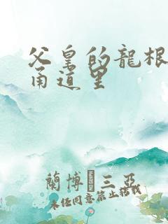 父皇的龙根在我甬道里