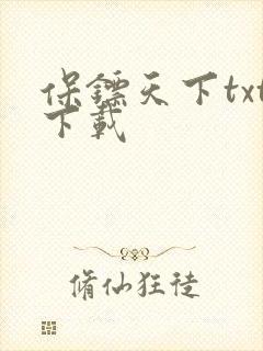 保镖天下txt下载