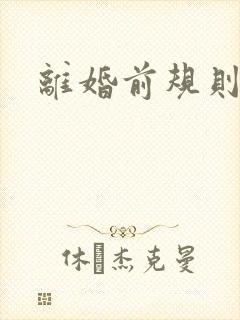 离婚前规则小说